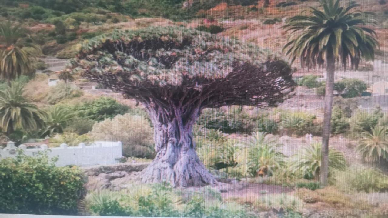 Tradicional Casa Canaria Con Piscina Y Vistas Al Teide Icod De Los Vinos Eksteriør billede